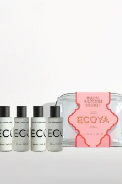 GUAVA & LYCHEE SORBET MINI TAKEAWAY SET (HOLIDAY COLLECTION)
